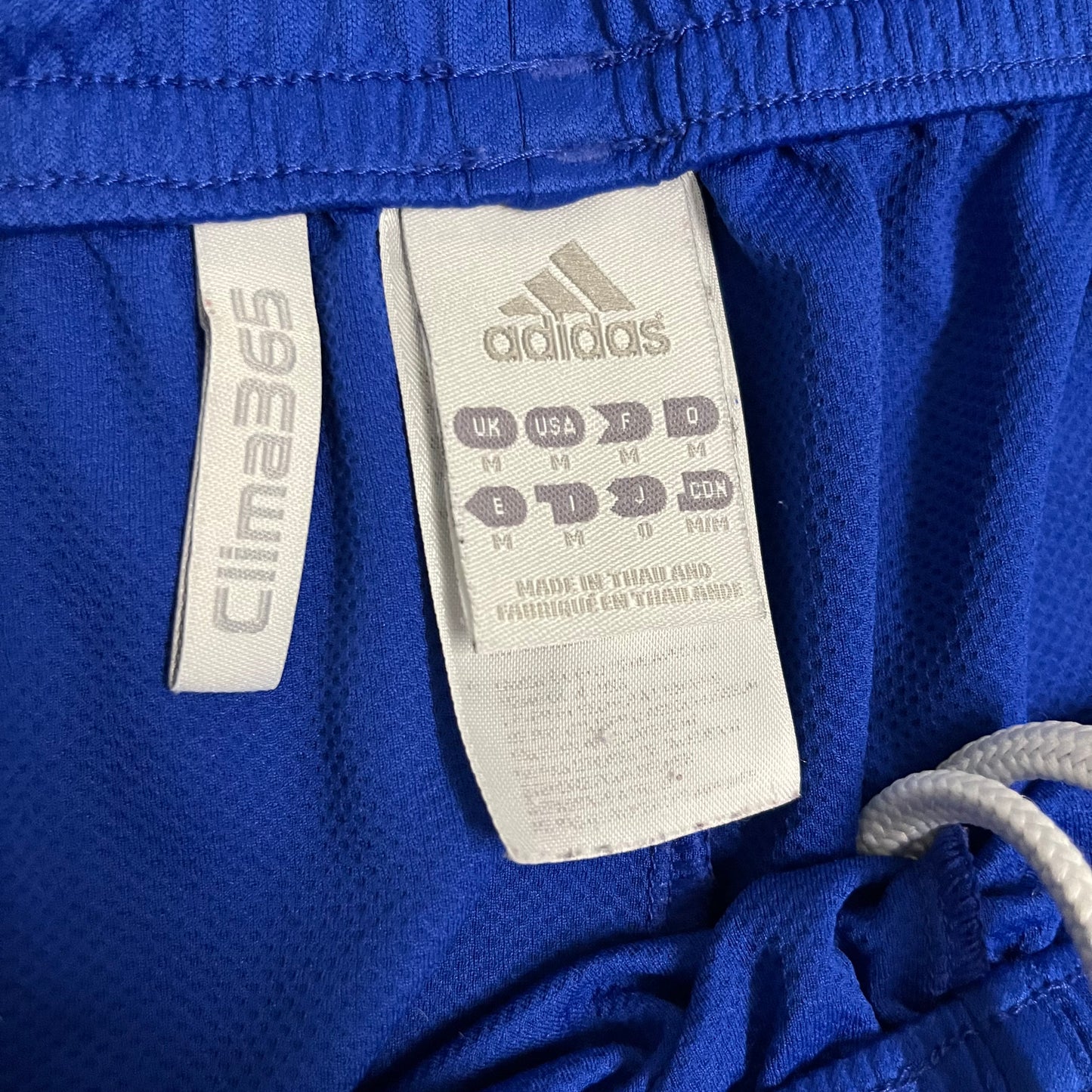 2010 Blue Adidas Shorts - M