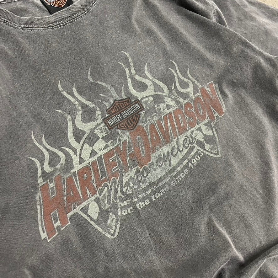 2009 Grey Harley Davidson Tee - L