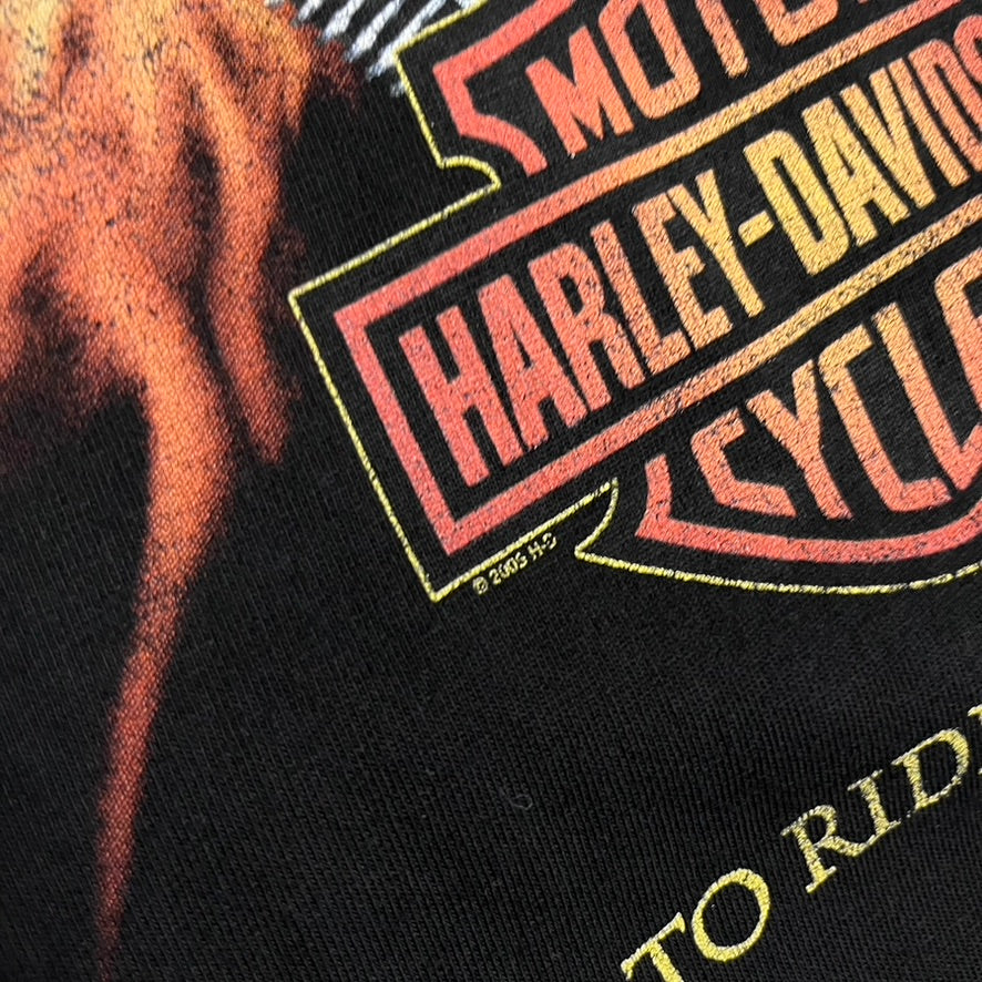 Vintage 2005 Black Harley Davidson Tee - XL