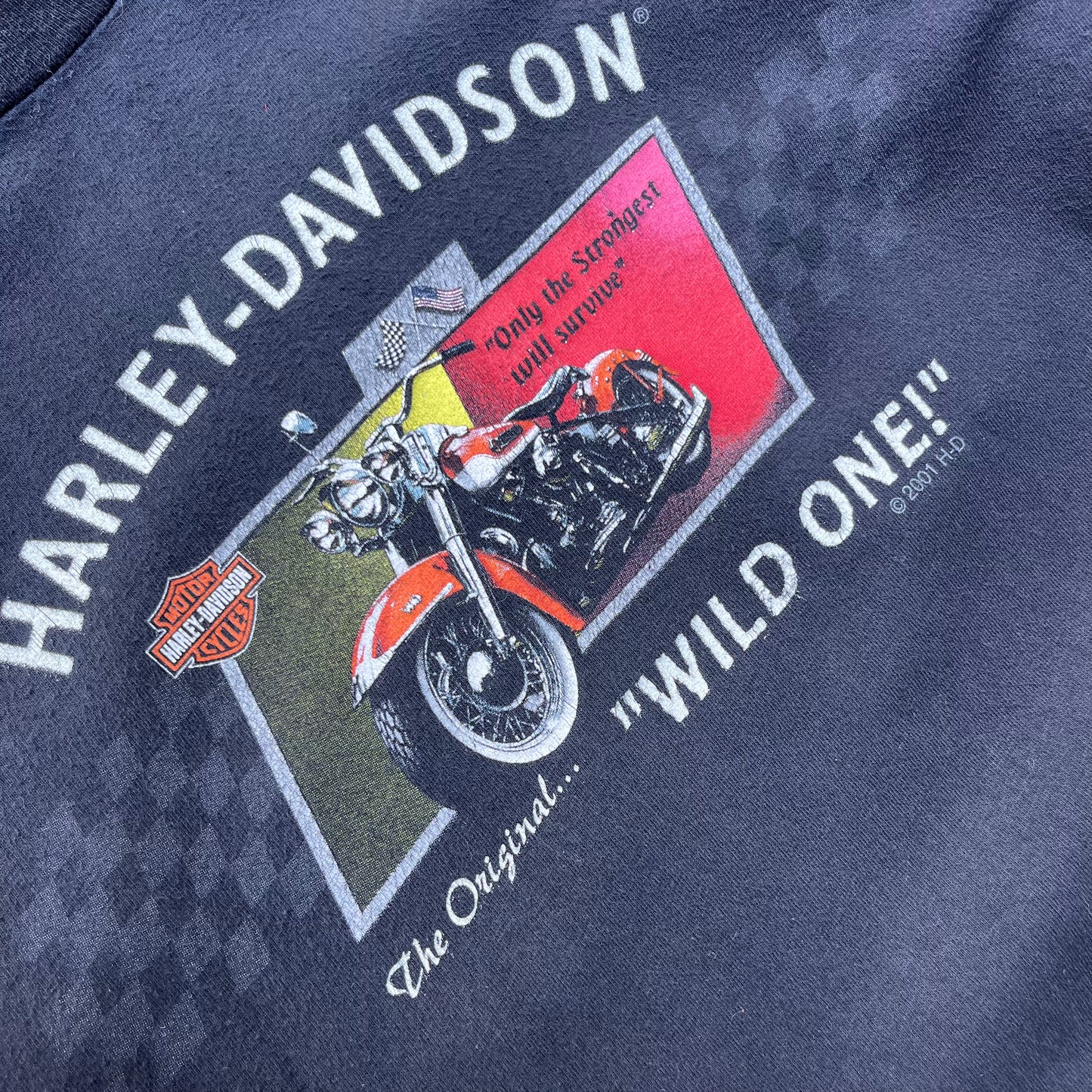 Vintage 2001 Black Harley Davidson Tee - L