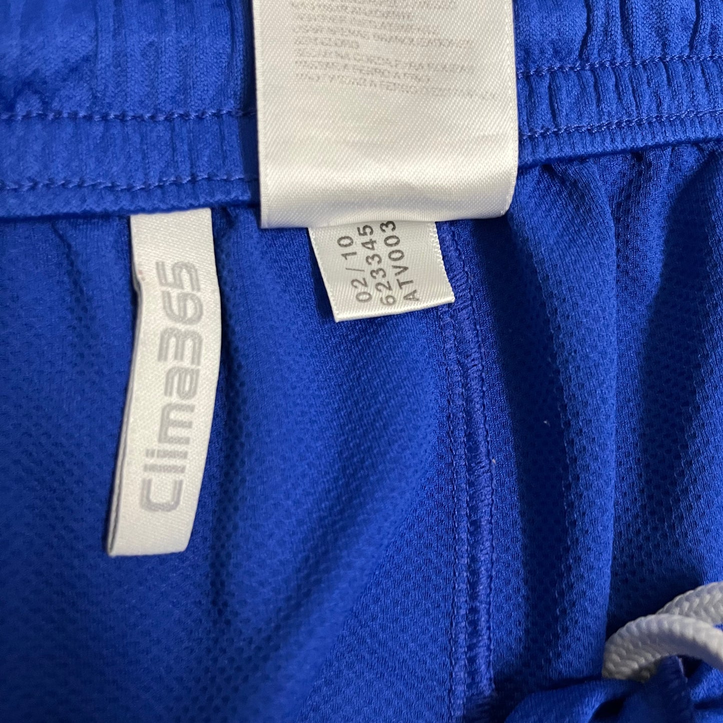 2010 Blue Adidas Shorts - M