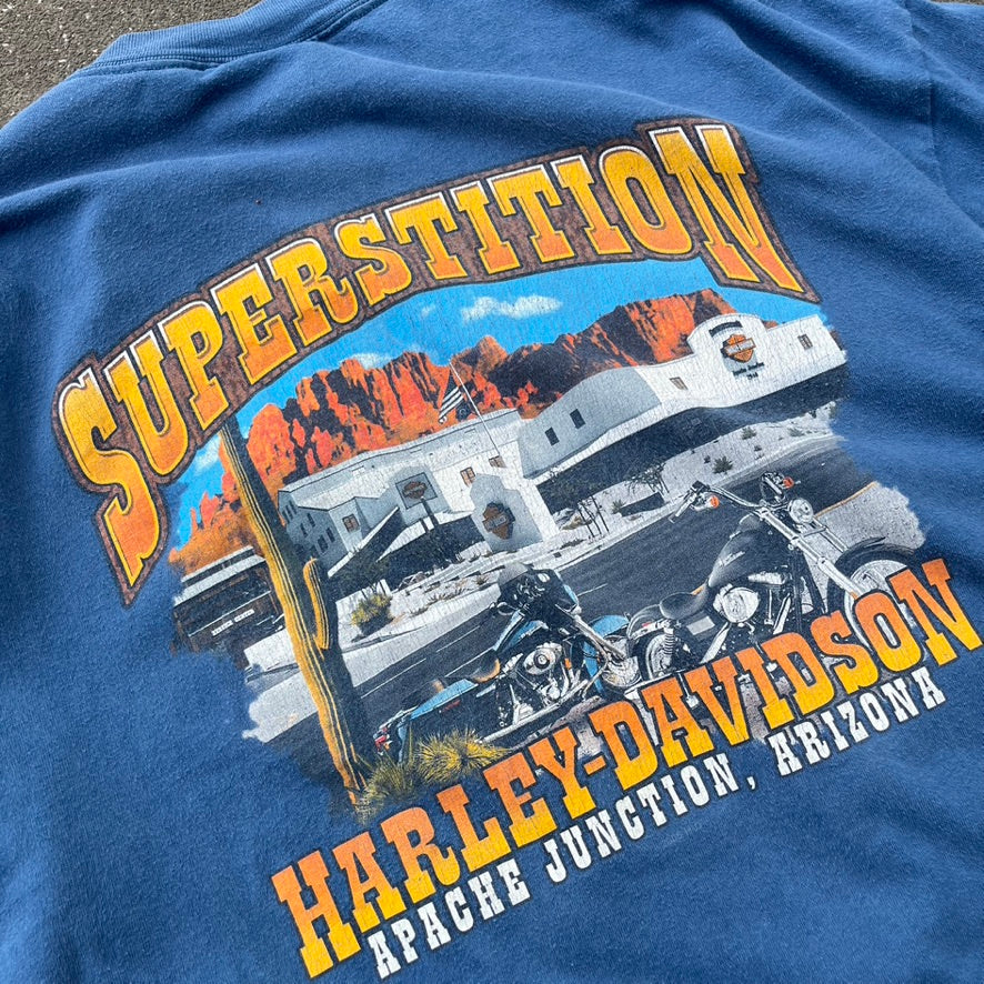 Vintage 2001 Blue Harley Davidson Tee  - XL